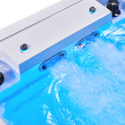 Swim Spa AWT Innovation 430 – 4 Personen, 430 × 230 cm, 20 Design-Jets – Ansicht 9